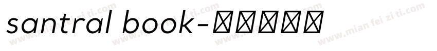 santral book字体转换